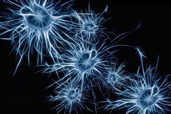 AI Foundations: The path to convolutional neural networks