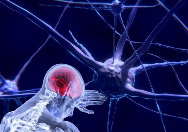 AI Foundations: Mapping neurons to a model