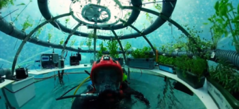 Nemo's Garden has digitalized their solution with help from Siemens to grow plants underwater