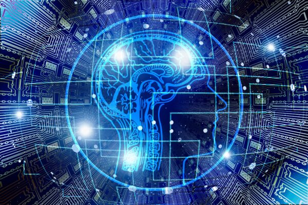 What is in the box? AI as a black box and the rise of physics-informed AI simulation