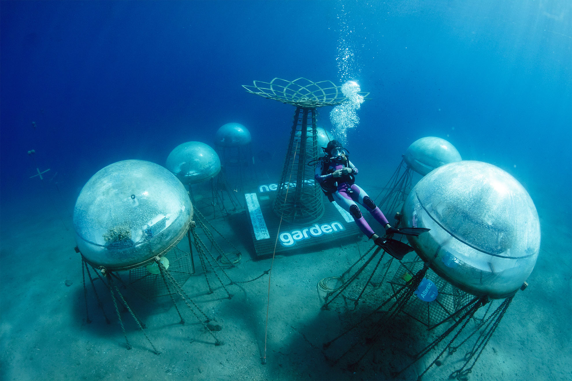 Nemo's Garden underwater farming biospheres with a diver