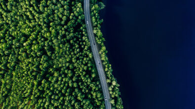 forest on one side and water on the other with a road between them