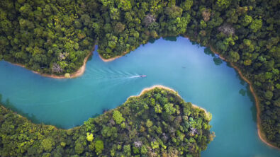 A lush green forest with a blue river running through it.