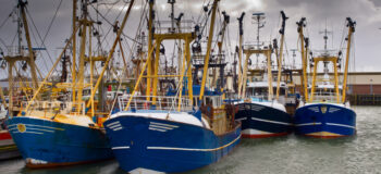 A fleet of ships in harbor