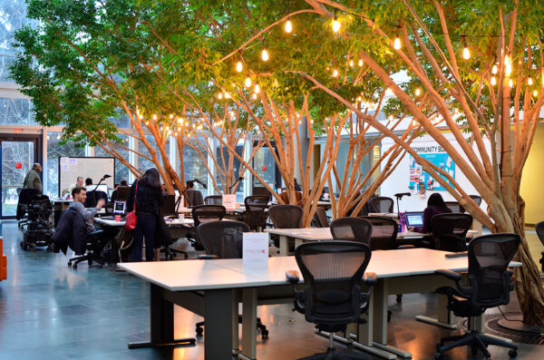 Creating Tech Titans: ventureLAB's Startup Story