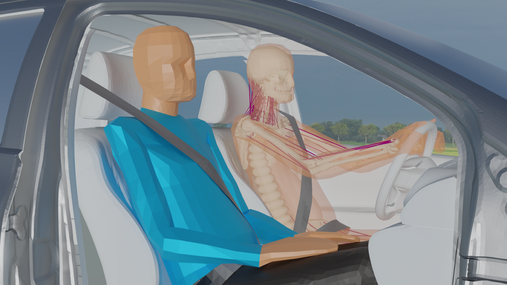 Integrated safety system development - Active Human models