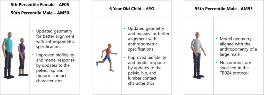 The Simcenter Madymo TBO24 family of pedestrian safety human models. 
