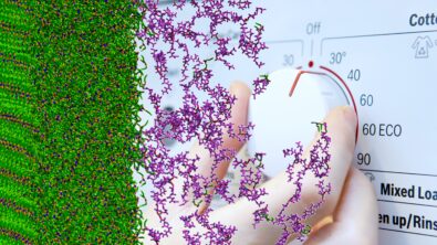 Efficient laundry washing at 30°C – Designing low-temperature detergents with Computational Chemistry