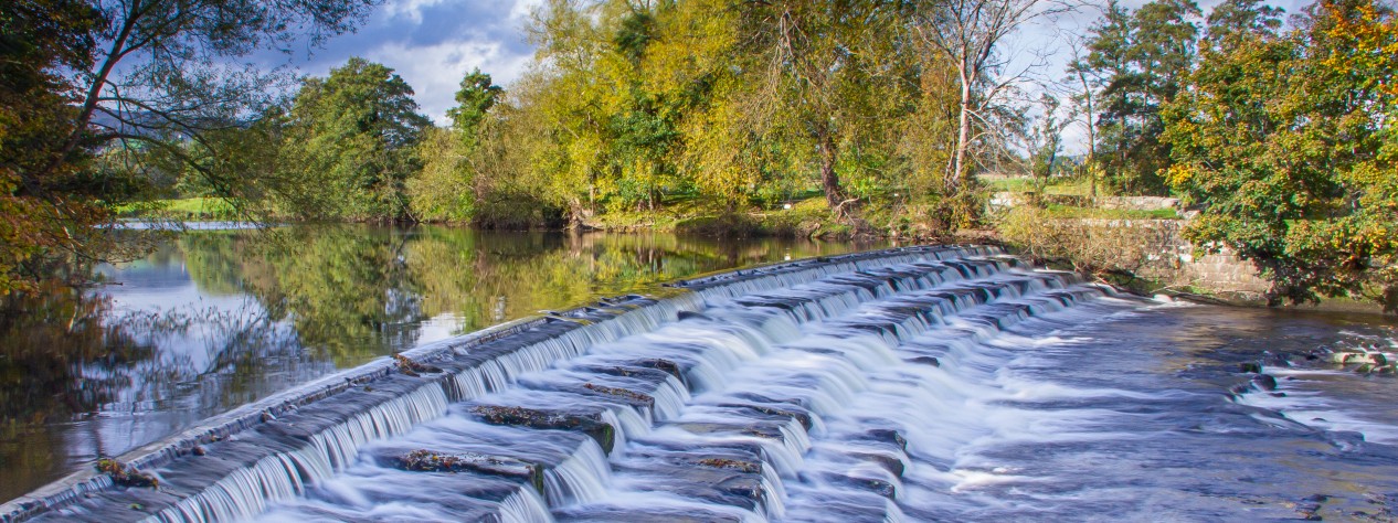 an image of a rushing stream of water surrounded by greenery